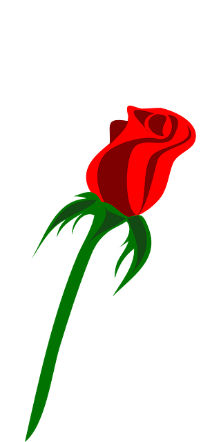 rose